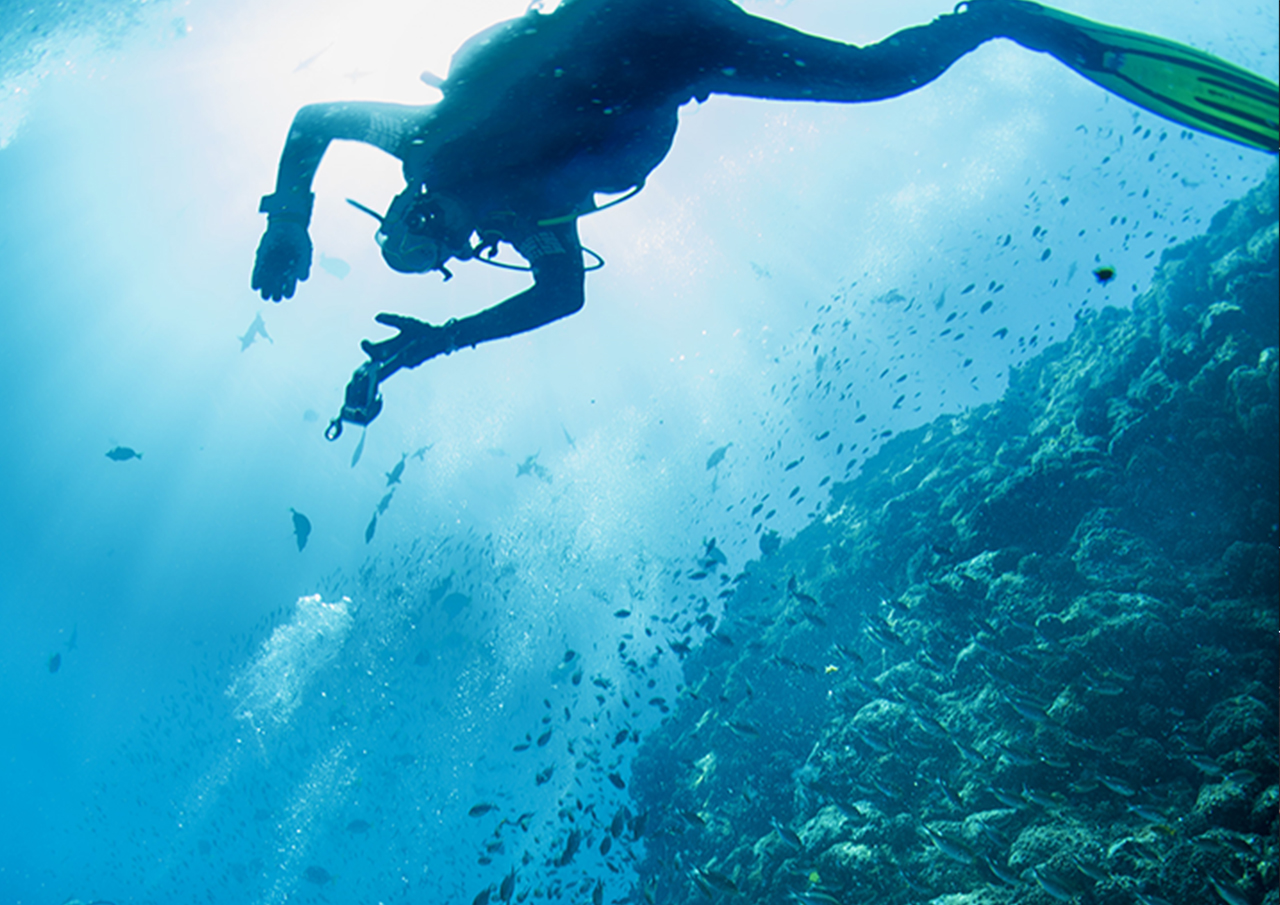 Deep Diver Deep Diver