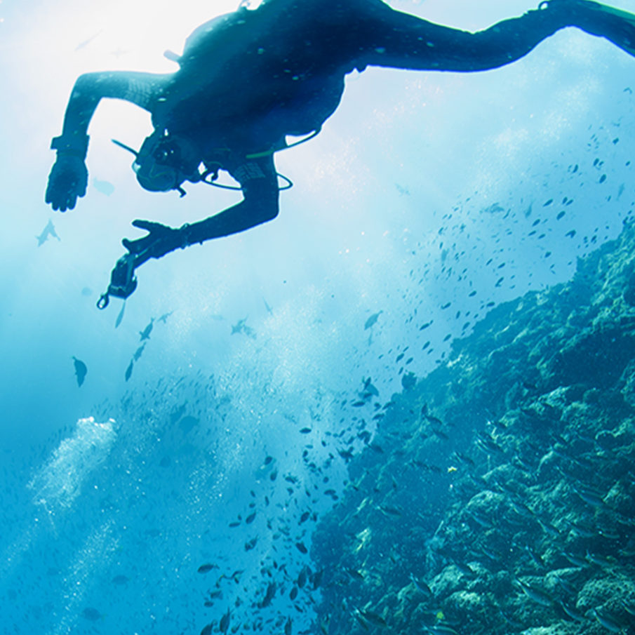 Deep Diver